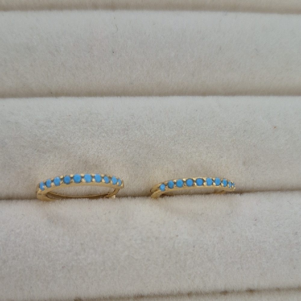 Elegant Gold and Blue  Earrings